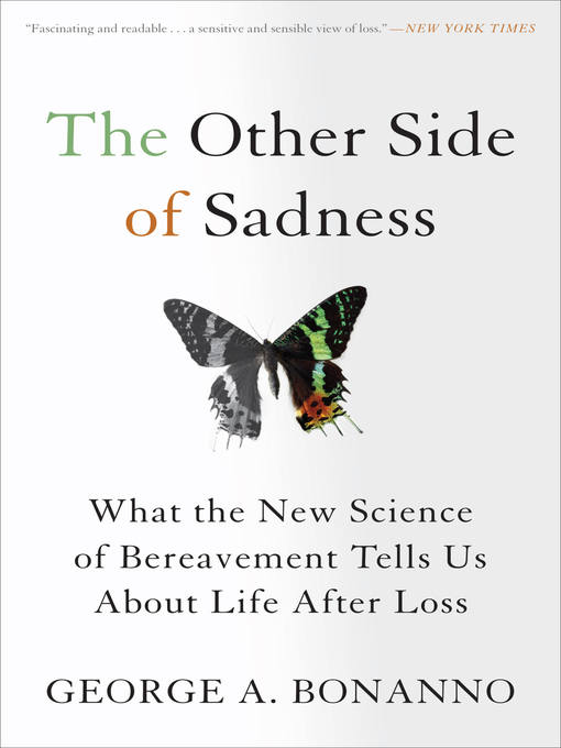 Cover image for The Other Side of Sadness